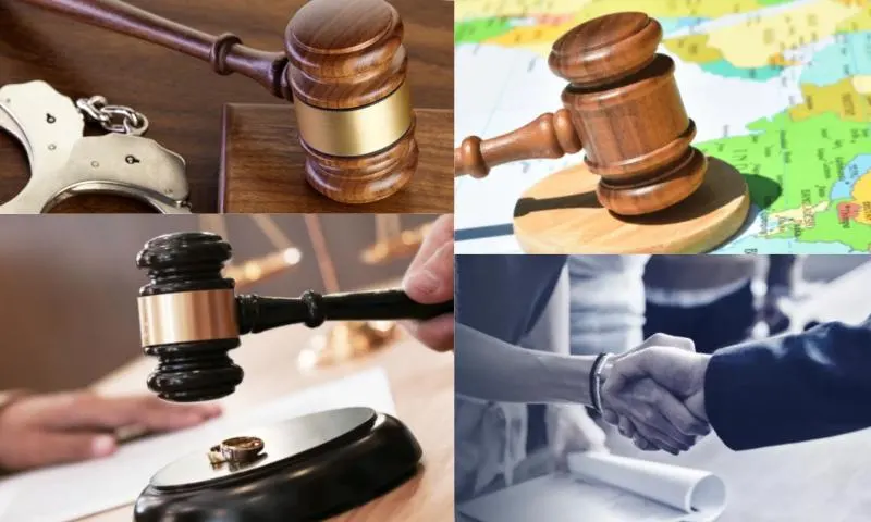 Ceza Hukuku Davaları Nedir?