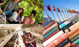 Language Schools Eğitiminde Hangi Yöntemler Kullanılır?