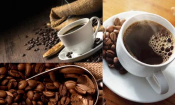 Filtre Kahvenin Özellikleri ve Hazırlanışı