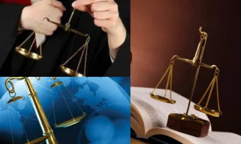 Lifetime Accumulation and Estate Liquidation Principles in Light of Inheritance Lawsuits