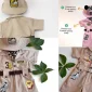 Mickey Safari Outfit for Kids (Çocuklar İçin Mickey Safari Kıyafeti) Nerelerde Tercih Edilir?