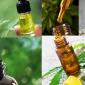 Cbd Yağın Faydaları